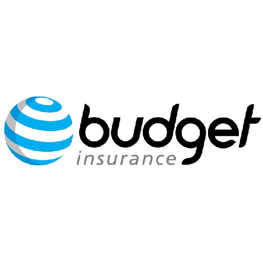Budget Insurance Logo