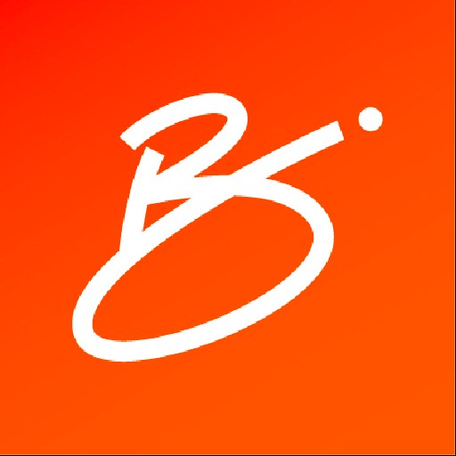 Bsure Insurance Advisors Logo